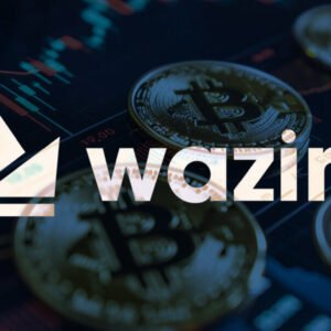 WazirX Cryptocurrency Exchange