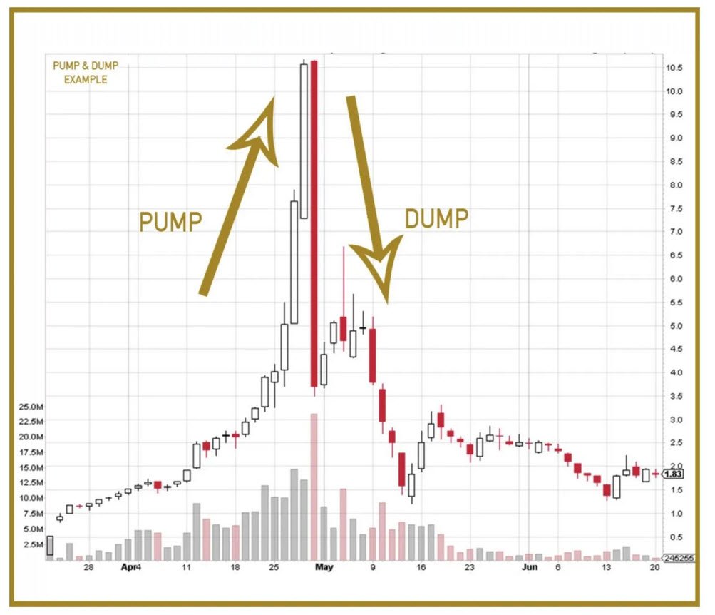 Speculative Investment and Quick Profits