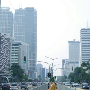 High-Growth Sectors